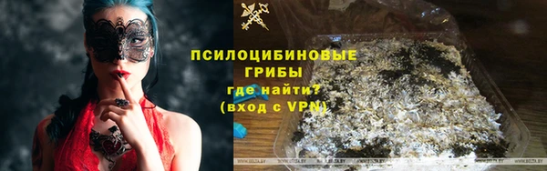 сатива Аркадак