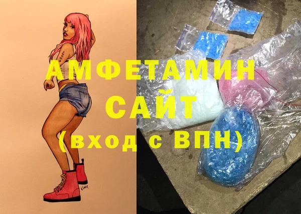 сатива Аркадак