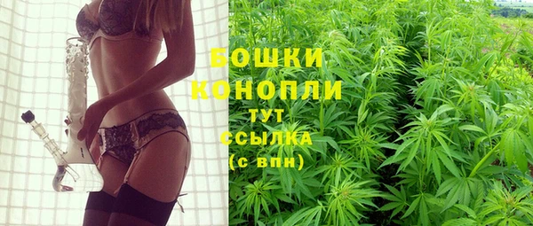 сатива Аркадак
