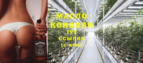 сатива Аркадак