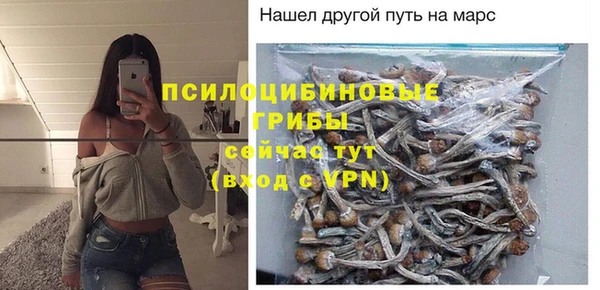 сатива Аркадак