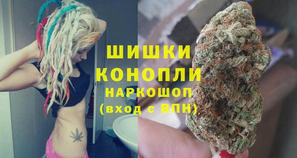сатива Аркадак